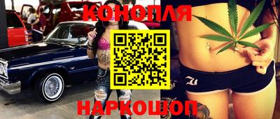 гидра Заводоуковск