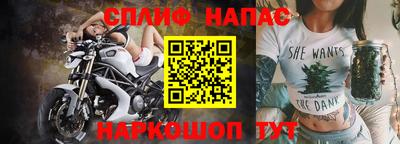 гидра Заводоуковск