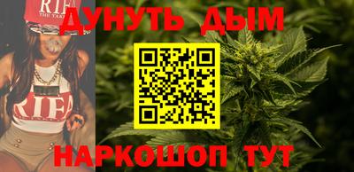 гидра Заводоуковск
